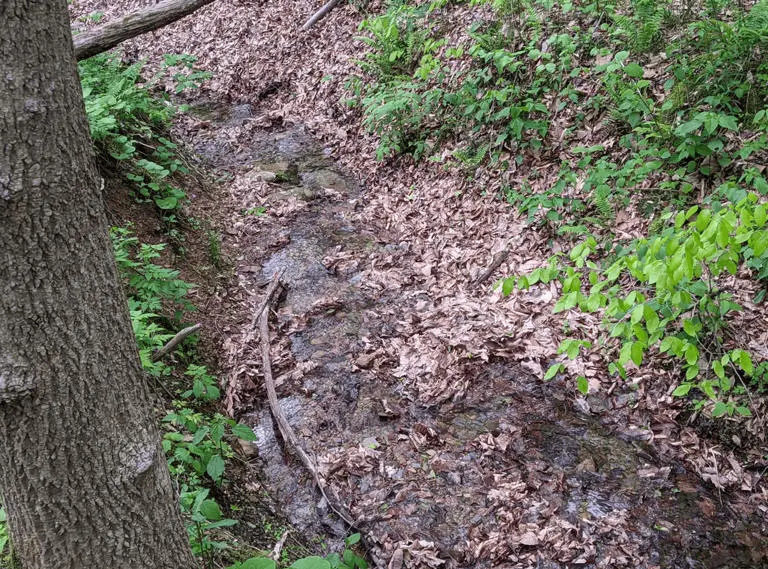 Elkins Pass Cabin Elkins Pass Cabin