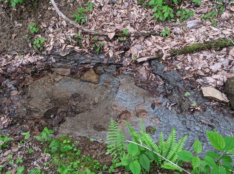 Elkins Pass Cabin Elkins Pass Cabin