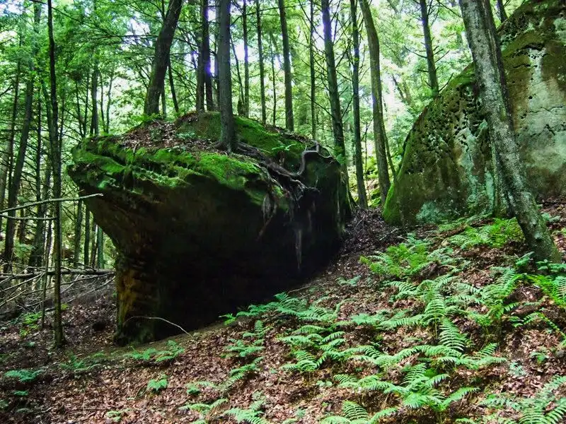 Scheik Hollow Rocks