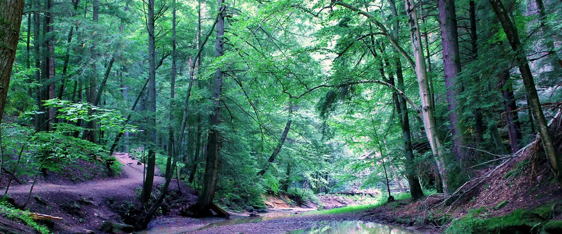 Tale Of Creek Crossing Cabins